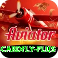 3cardfly Turbo Pro v2.1.9