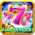 aaron finch Deluxe Pro v4.2.8