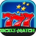 all cricket match Deluxe v2.1.2