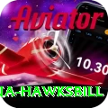 antigua hawksbill Pro Max v2.2.6