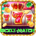 bangladesh cricket match Deluxe v2.9.1