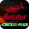 bbl cricket Super New