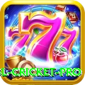 bbl cricket Game VIP v2.0.2