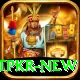 betpkr Games Plus