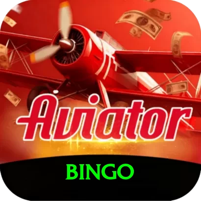 bingo Pro1 v4.4.1 - 2