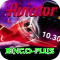 bingo Deluxe Pro v2.4.4