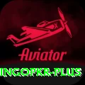 bingopkr Master v3.7.7