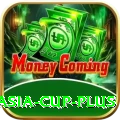 cricket asia cup Game Pro v1.4.2