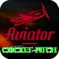 cricket pitch Elite Pro v2.4.5