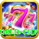 cricket t20 world cup VIP