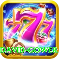 david gower Turbo Pro v1.2.1