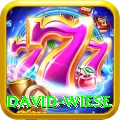 david wiese Premium Edition v1.3.9