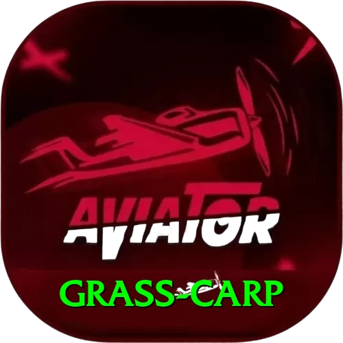 grass carp Master v2.4.1 - 2