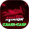 grass carp Master v2.4.1