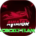 hong kong cricket team Pro Max v2.7.1