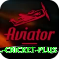 international cricket Gold PK v4.4.5