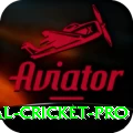 international cricket Pakistan Royal v1.2.0