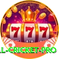 most runs in international cricket Casino Gold v4.2.0