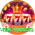 most test wickets Master Pro v1.4.8