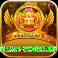 naseem shah yorkers Deluxe Pro v1.6.4