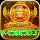 ndtv cricket Pro Edition v2.5.7