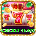 new zealand cricket team Apps (Tools & Injectors) Plus v5.7.7