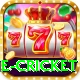 online cricket Apps (Tools & Injectors) Pro v3.6.9