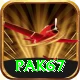 Pak67 VIP v4.8.8