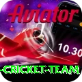 pakistan women cricket team Games (Casino & Earning) Pro v2.0.5