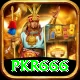 pkr666 Apps (Tools & Injectors) Ultimate v4.4.3