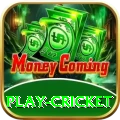 play cricket Apps (Tools & Injectors) Master v1.1.0