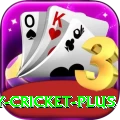 play cricket PK Ultimate