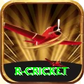 r cricket Ultimate Pro v1.3.4