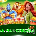 risk free bet cricket Elite v2.8.2