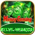 steve waugh Pro Max v5.8.9