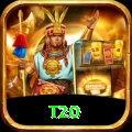 t20 Pro v2.0.8
