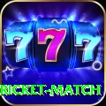 to day cricket match Premium v5.7.6