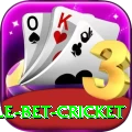 treble bet cricket Pro Edition v2.0.8