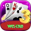 wc t20 Pro Edition v4.2.4