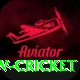 willow cricket Elite v2.3.8