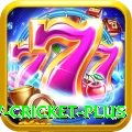 willow cricket Bonus Deluxe v5.2.3
