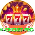 willow cricket Deluxe Slots